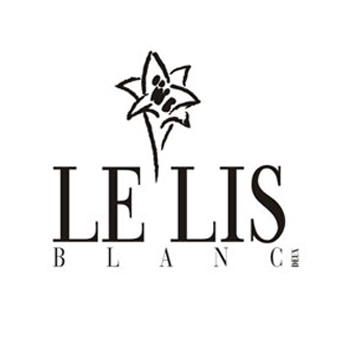 Le-lis-blan-consultoria-ecommerce